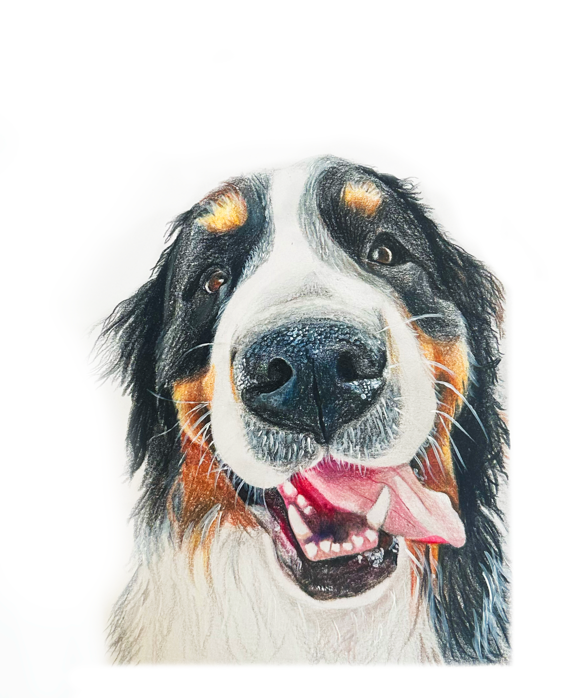 Custom Pet Portrait