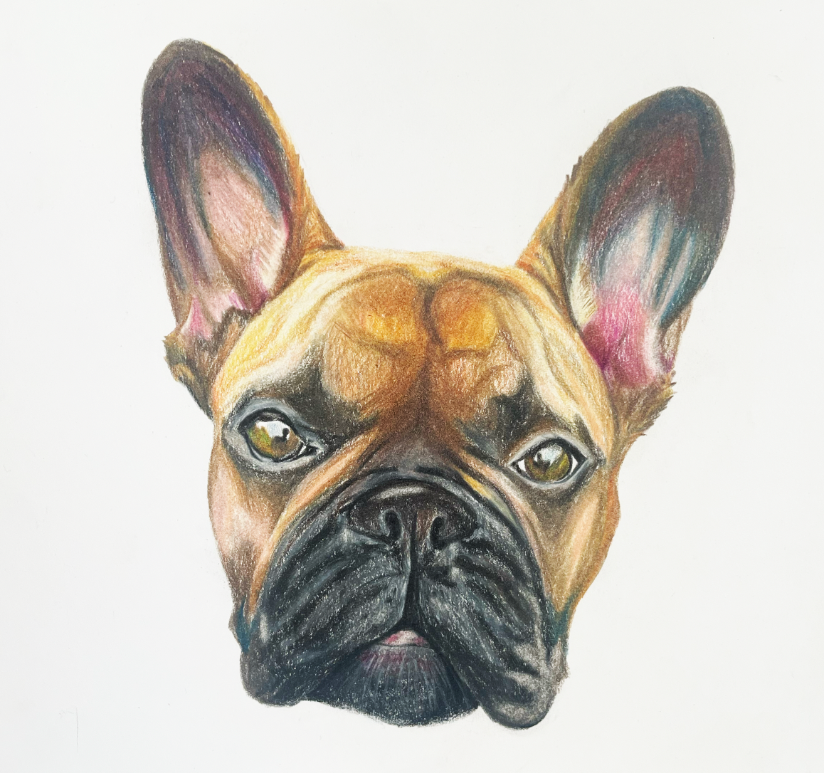 Custom Pet Portrait