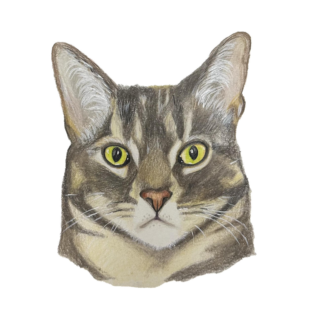 Custom Pet Portrait