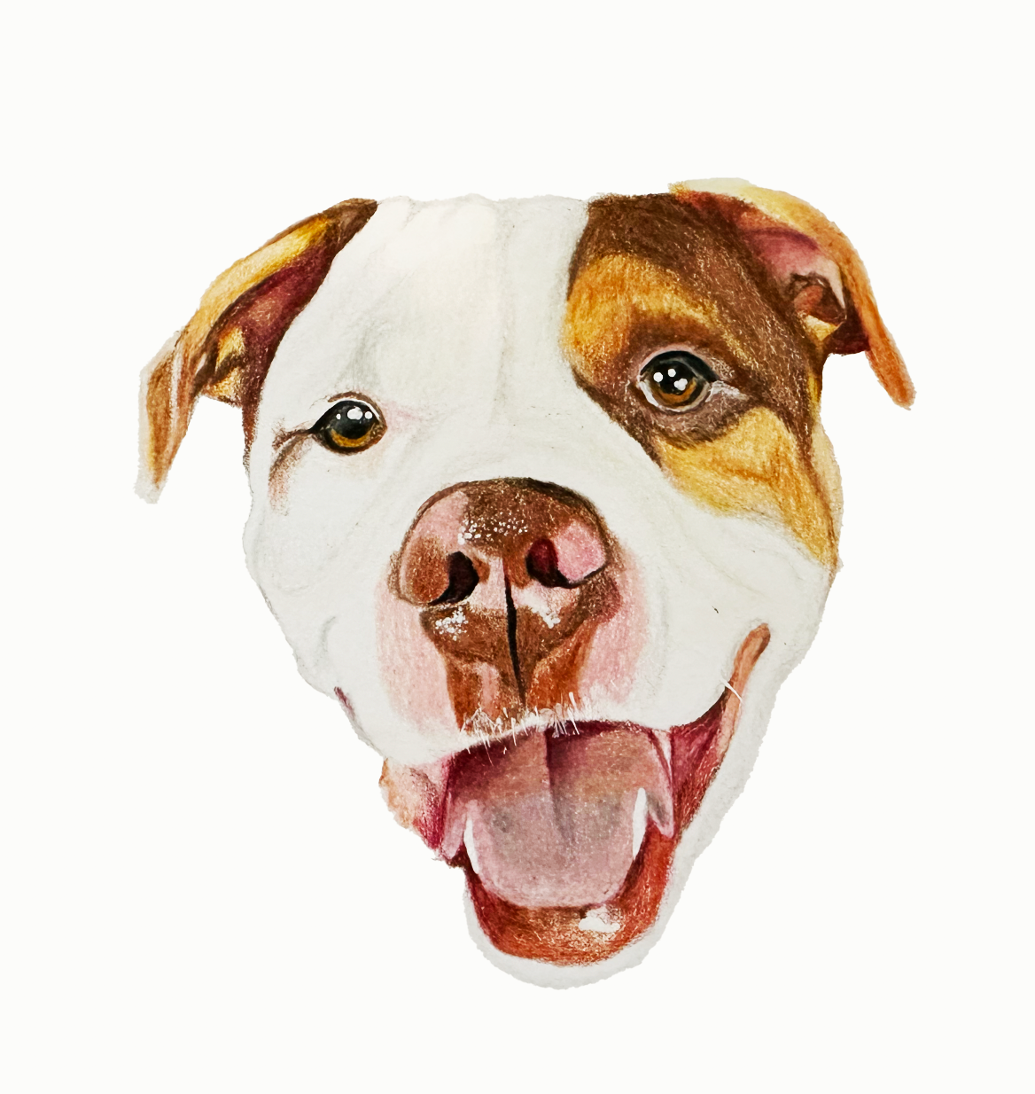 Custom Pet Portrait